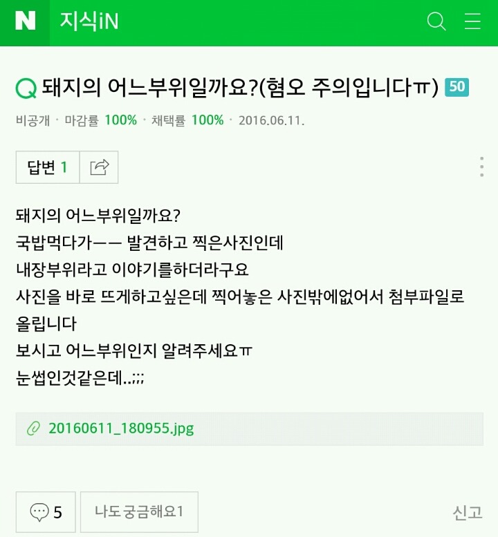 이거보면 이제 돼지국밥 못먹음 (혐오주의) | 인스티즈