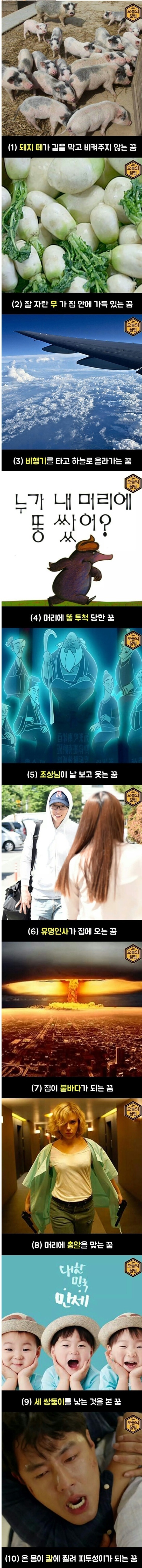 로또사야 되는꿈.JPG | 인스티즈