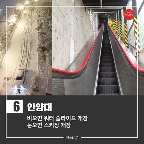 지옥의 오르막을 자랑하는 대학교들 | 인스티즈