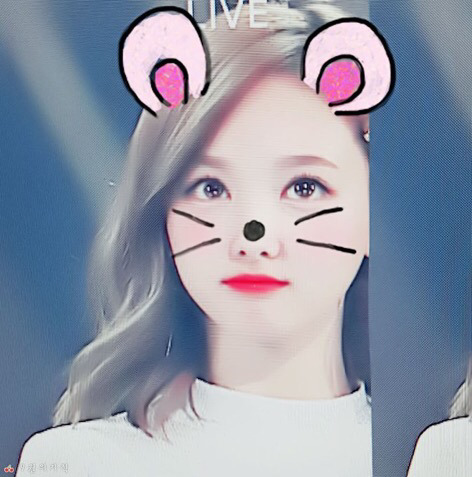 상큼한 토끼 나연이는 ♡입니다 | 인스티즈