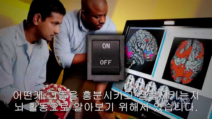 남자와 여자가 야동볼때의 가장 큰 차이점.jpg | 인스티즈