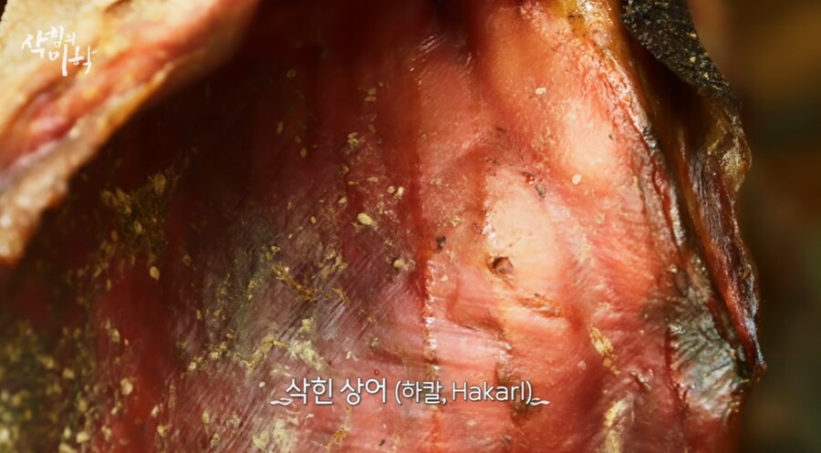 한국인들이 삭힌 홍어 먹는다고해서 신기해하는 나라 | 인스티즈