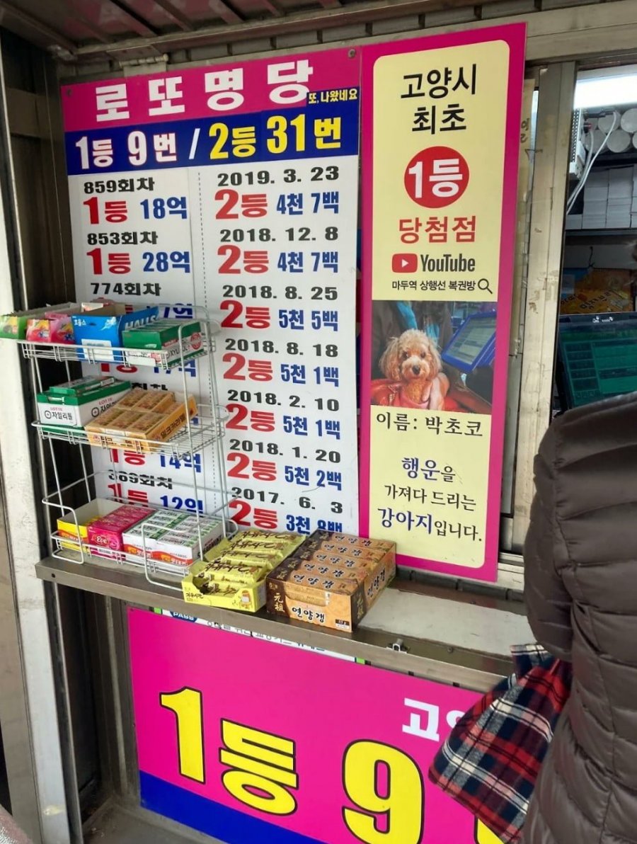 행운을 가져다 드리는 강아지 | 인스티즈