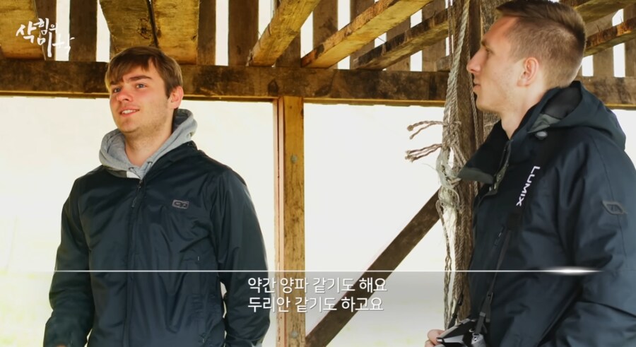 한국인들이 삭힌 홍어 먹는다고해서 신기해하는 나라 | 인스티즈