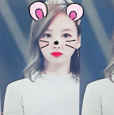 상큼한 토끼 나연이는 ♡입니다 | 인스티즈