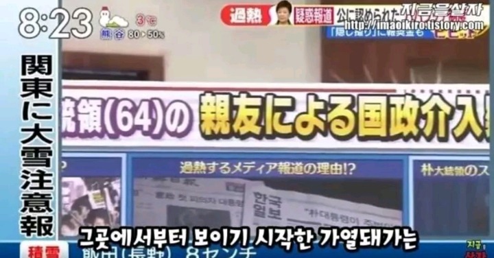 한국을 까려고 전문가를 섭외했다 팀킬당한 일본방송 | 인스티즈