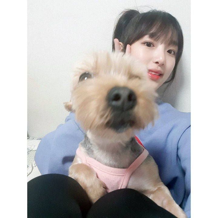 아이즈원 인스타 최예나.jpgif | 인스티즈