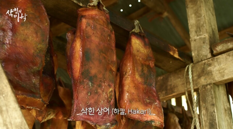 한국인들이 삭힌 홍어 먹는다고해서 신기해하는 나라 | 인스티즈