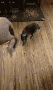 각박한 경쟁사회.gif | 인스티즈