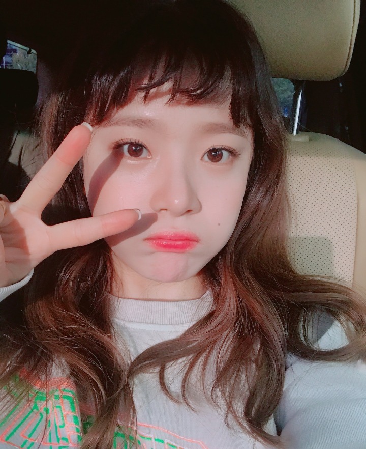 한국vs일본 이상형대결 | 인스티즈