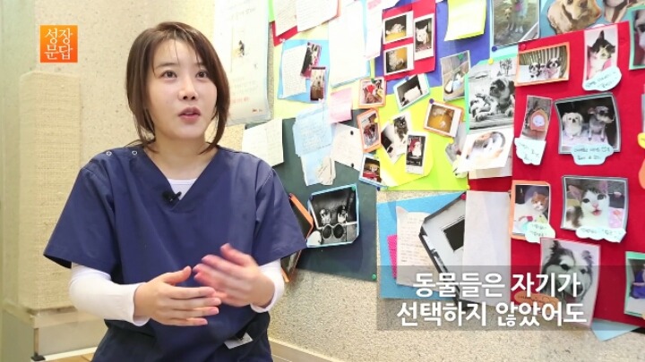 반려동물 키우기를 쉽게 생각하는 사람이 반드시 들어야 할 대답 | 인스티즈