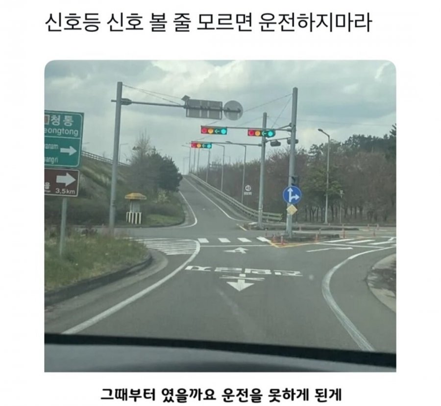 신호등 딜레마 | 인스티즈