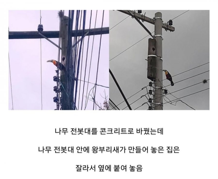 집이 재건축 됐지만 쫓겨나지 않은 새입자 | 인스티즈