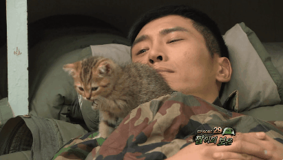 푸른거탑 새끼 고양이.gif | 인스티즈