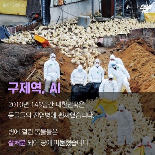 우리가 묻어버린 이야기 | 인스티즈