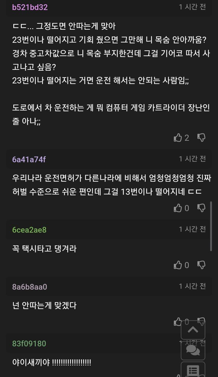 면허시험 붙고 싶다는 사람 | 인스티즈