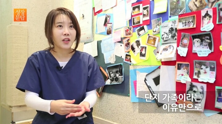 반려동물 키우기를 쉽게 생각하는 사람이 반드시 들어야 할 대답 | 인스티즈