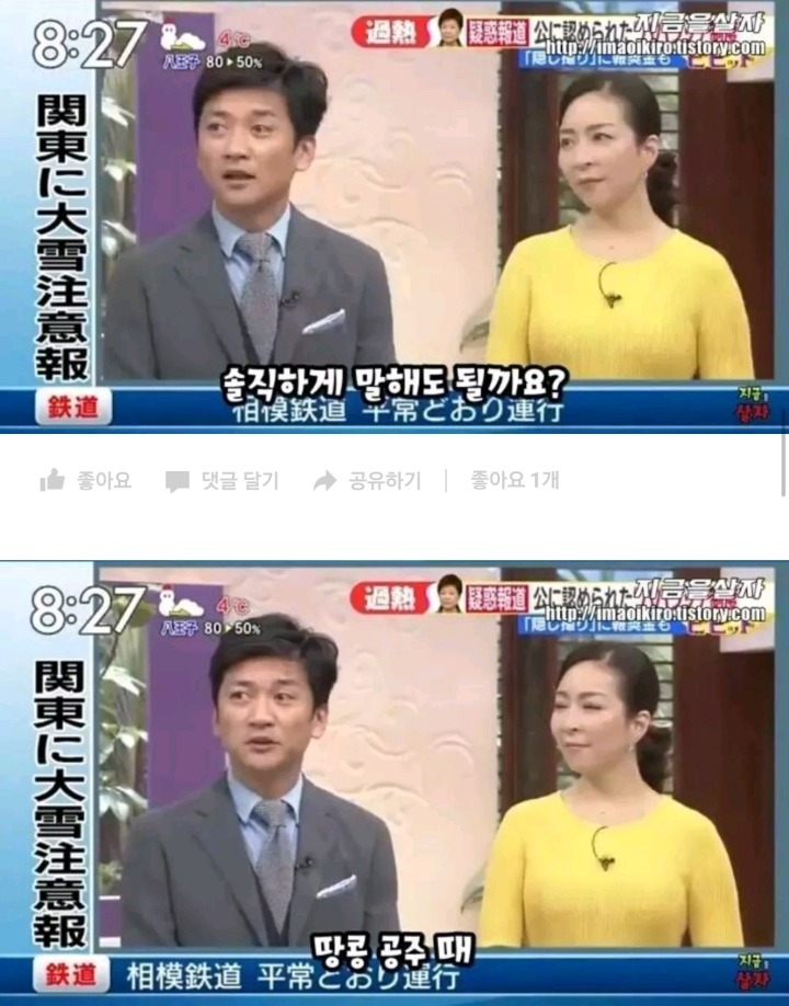 한국을 까려고 전문가를 섭외했다 팀킬당한 일본방송 | 인스티즈