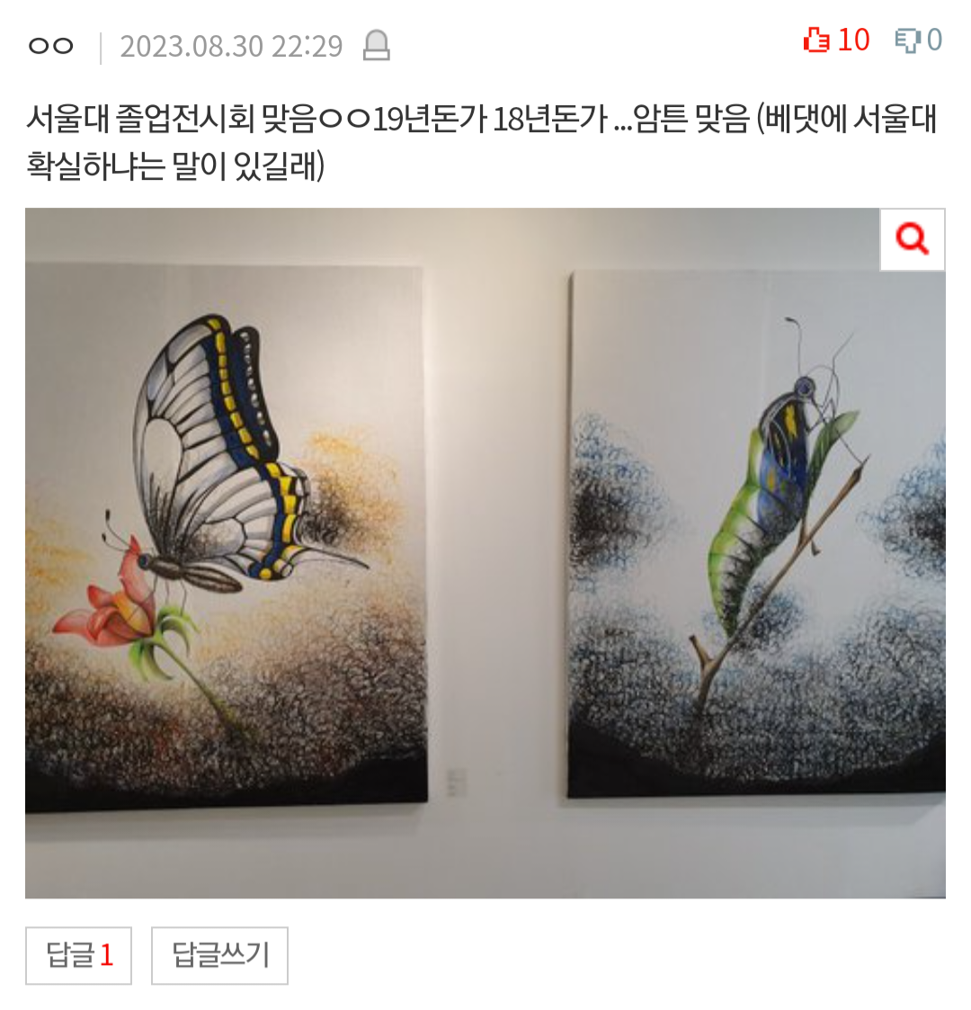 [네이트판] 근데 서울대 미대는 그림실력 안 보나 | 인스티즈