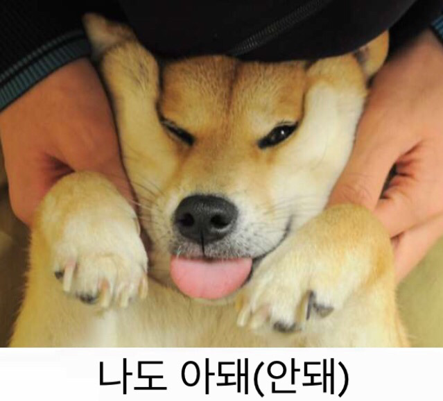 너 이거 됑?? | 인스티즈