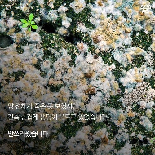 우리가 묻어버린 이야기 | 인스티즈