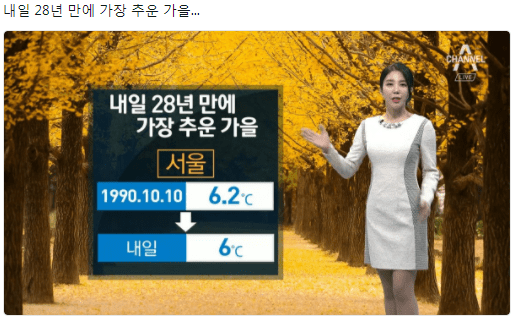 모두가 비웃었지만 전문가는 다르다는걸 증명함 | 인스티즈