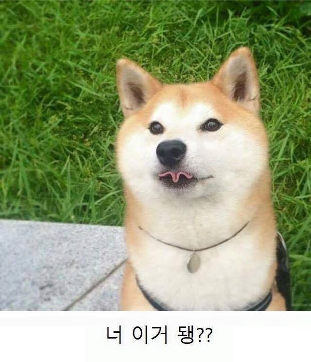너 이거 됑?? | 인스티즈