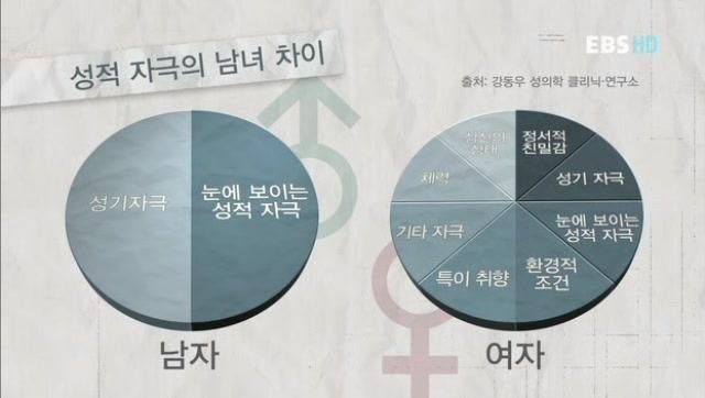 성적 자극 남녀차이 | 인스티즈