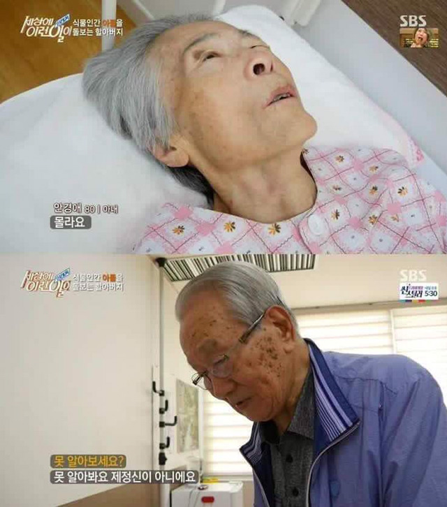 치매 아내와 식물인간 아들을 돌보는 할아버지.. | 인스티즈