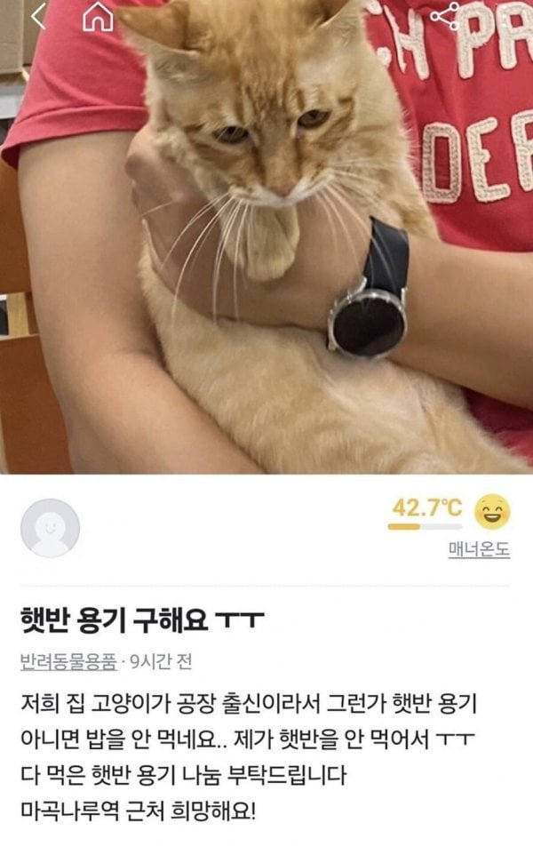 햇반이 왜 | 인스티즈
