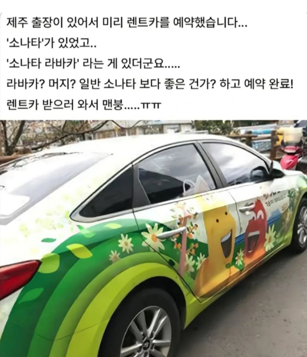 제주도에서 렌트카 빌릴 때 조심하세요 | 인스티즈