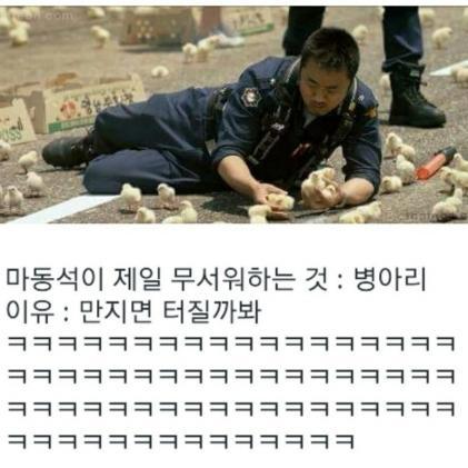 댕댕계의 마동석 | 인스티즈