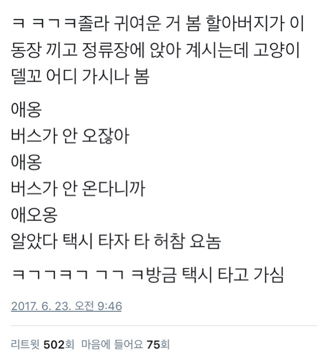 할아버지와 고양이.twt | 인스티즈