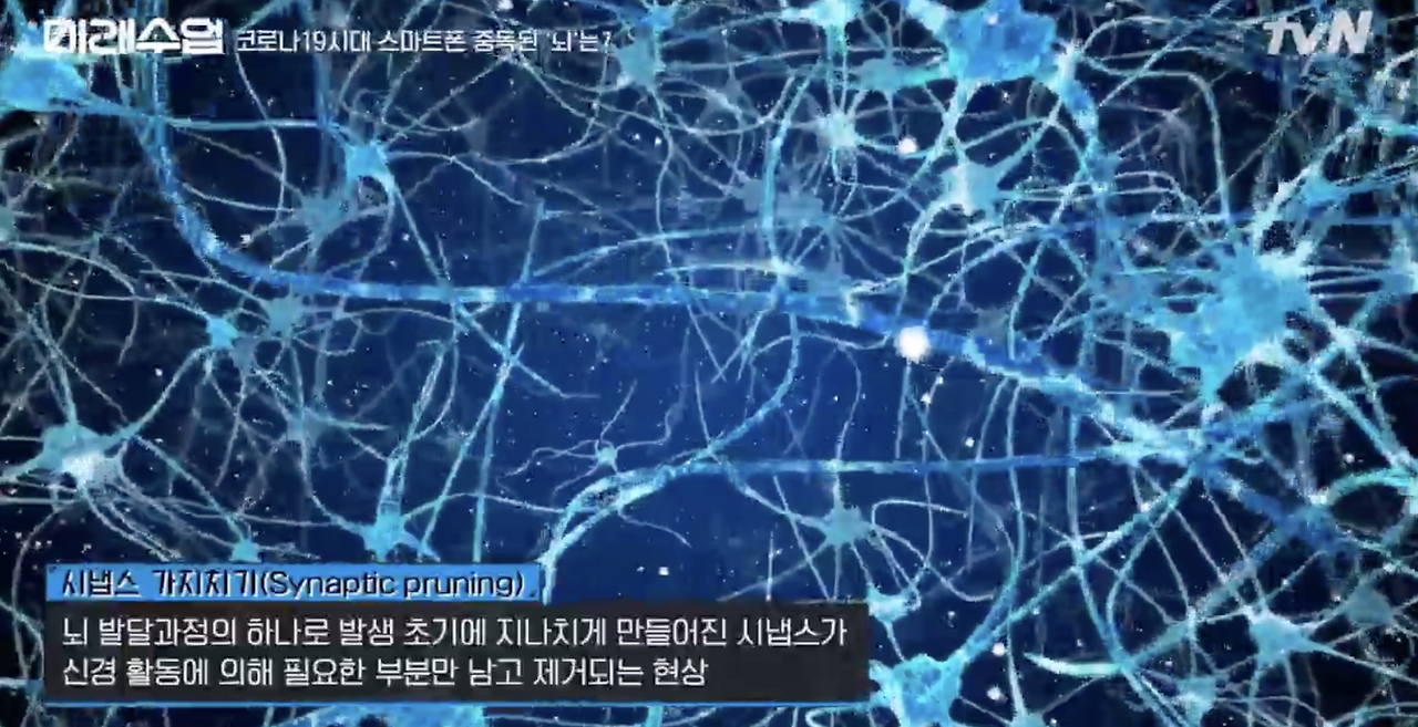 요즘 애들이 언어능력, 문해력 떨어지는 이유.jpg | 인스티즈