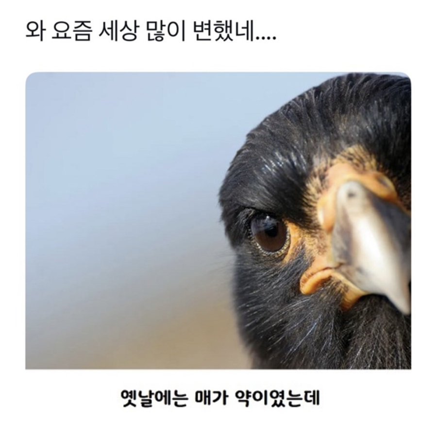 와 요즘 세상 많이 변했네 | 인스티즈