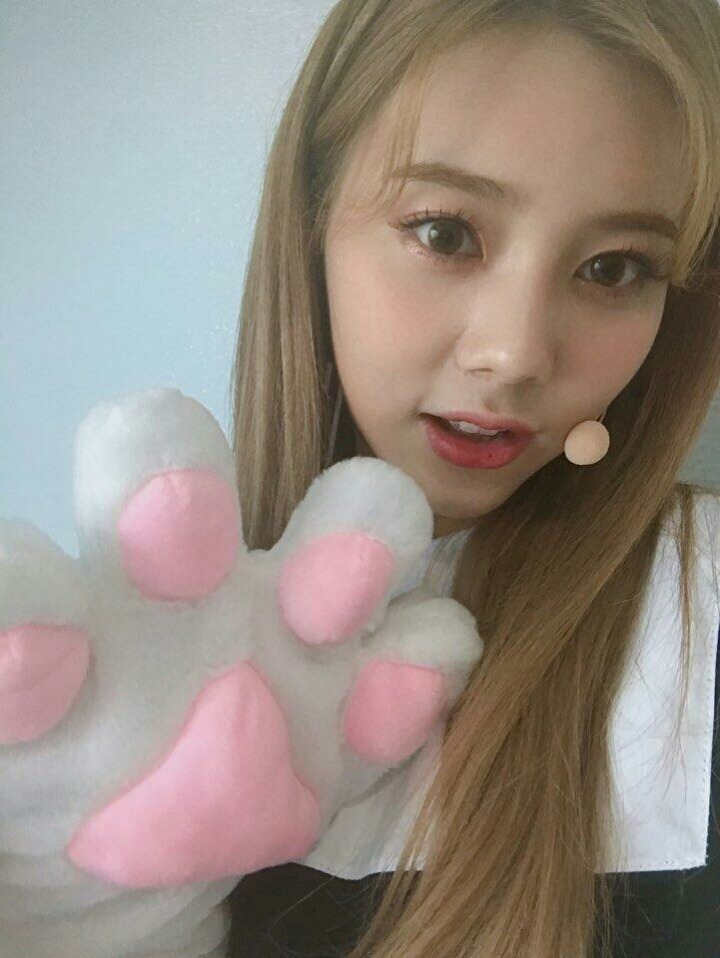 다이아 권은채 | 인스티즈