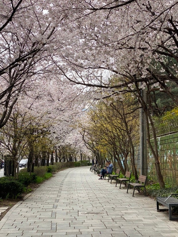 요즘 핫한 관악산 등산코스와 가까운 유명빵집 장블랑제리 | 인스티즈