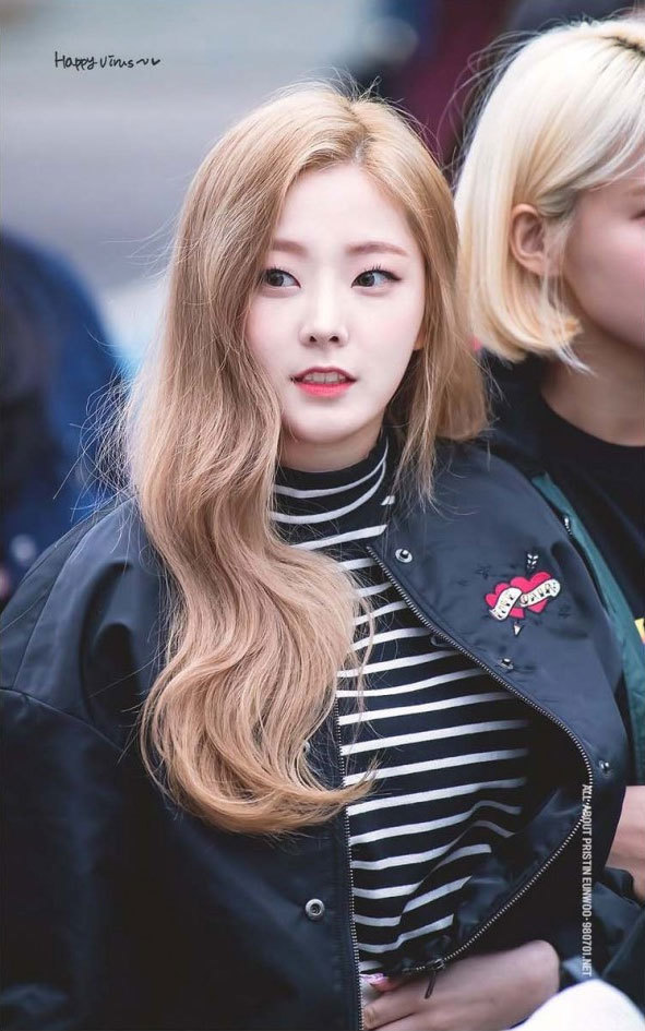 프리스틴 정은우 | 인스티즈