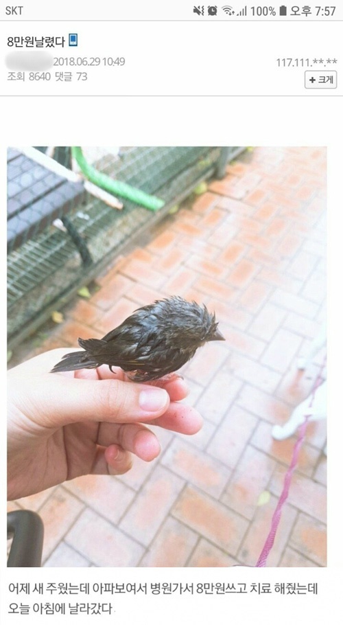  8만원 날렸다 | 인스티즈