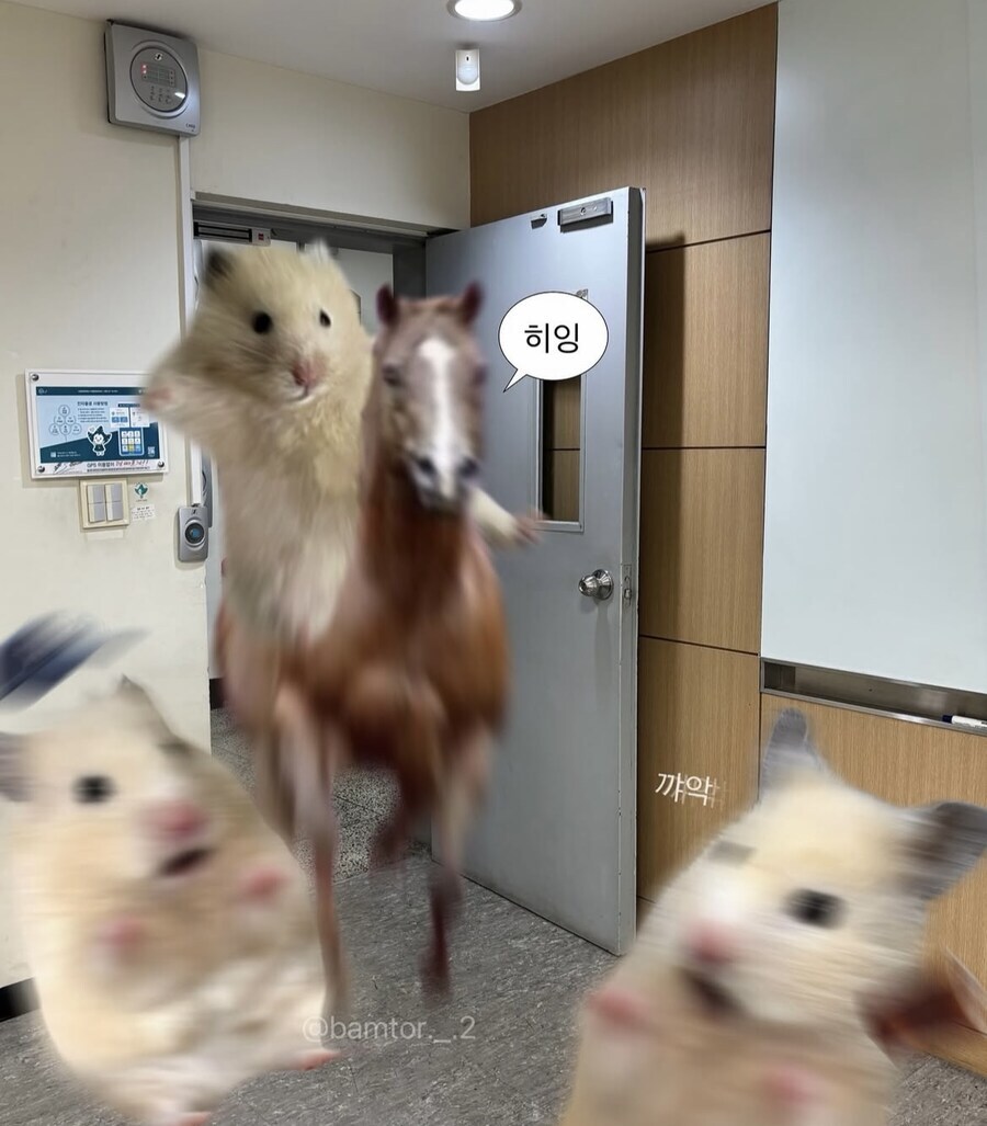 너 요즘 뒤에서 말 나오더라 | 인스티즈