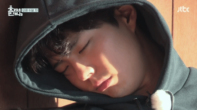 제작진이 노린거냐고 말나왔던 효리네민박 장면.gif | 인스티즈