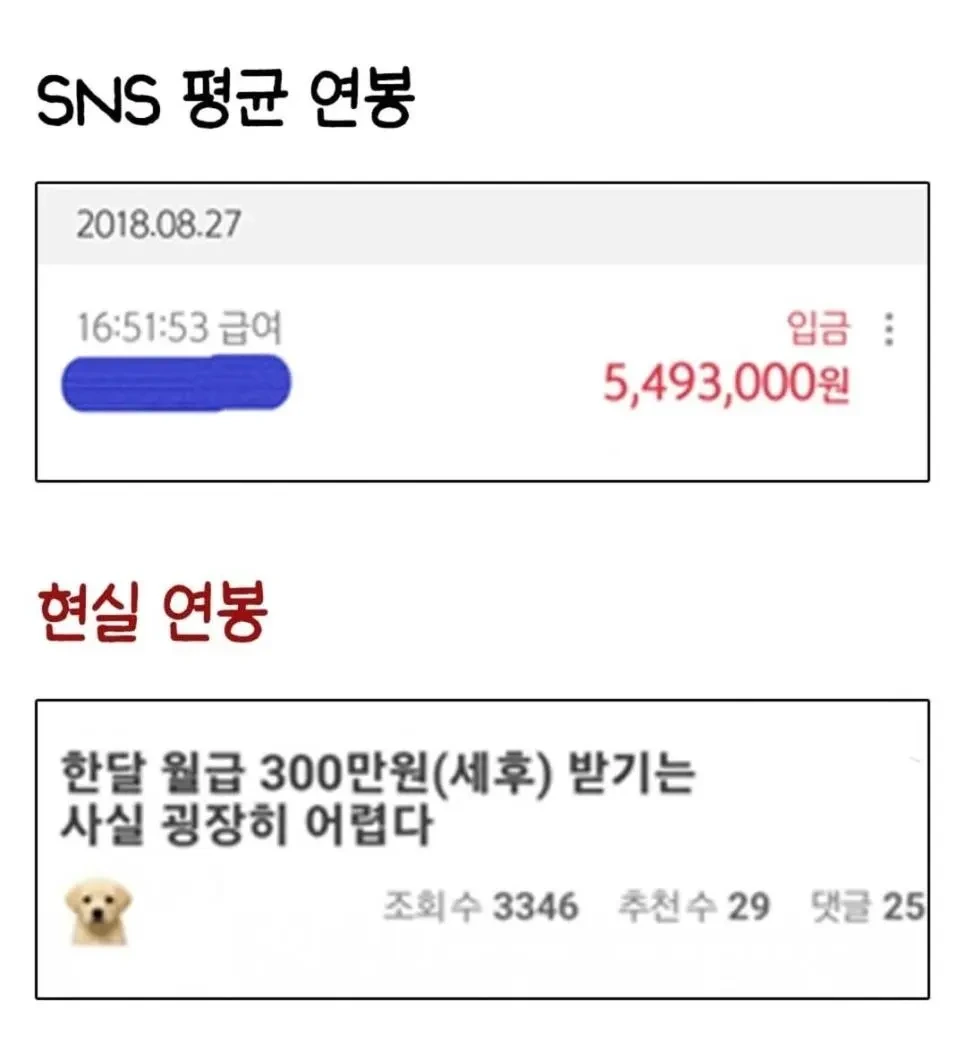 SNS가 망친 평균 vs 실제 평균 | 인스티즈
