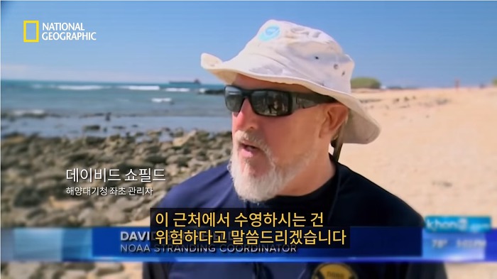 고래 먹방하던 상어들이 갑자기 사라진이유.jpggif | 인스티즈