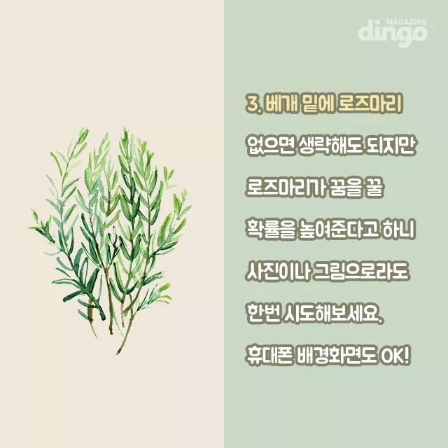 미래의 남편을 미리 만나는 날,아그네스 데이 | 인스티즈