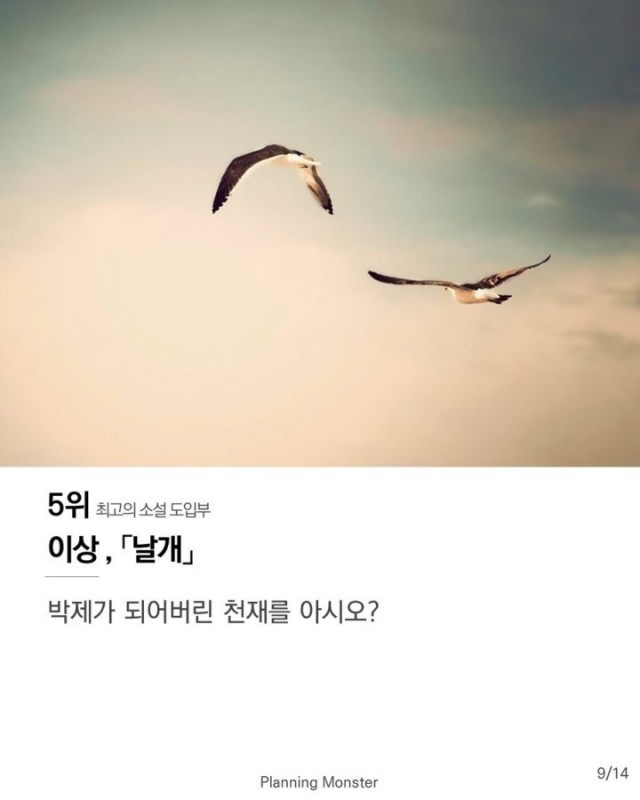 최고의 소설 도입부 TOP10 | 인스티즈