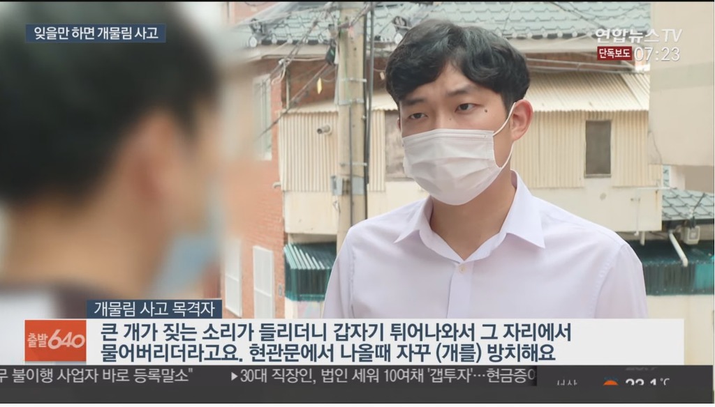 입마개 안한 로트와일러가 지나가는 행인과 강아지 공격해 강아지 15초만에 죽임 | 인스티즈