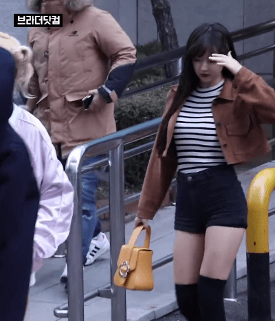 비율 개 아이돌 | 인스티즈