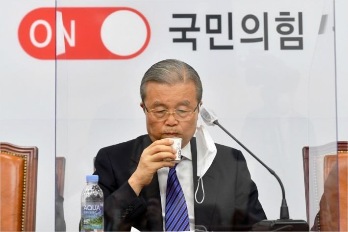 '국민의힘' 당명, 日극우단체 슬로건 표절 논란 (20년도 기사) | 인스티즈