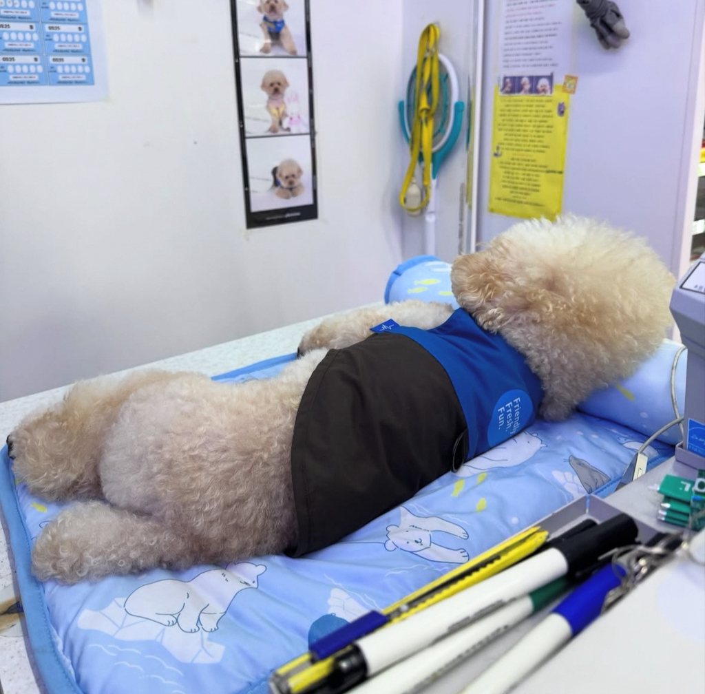 편의점에서 이불 깔고 베개 베고 누워있는 점장 | 인스티즈