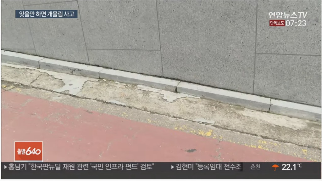 입마개 안한 로트와일러가 지나가는 행인과 강아지 공격해 강아지 15초만에 죽임 | 인스티즈